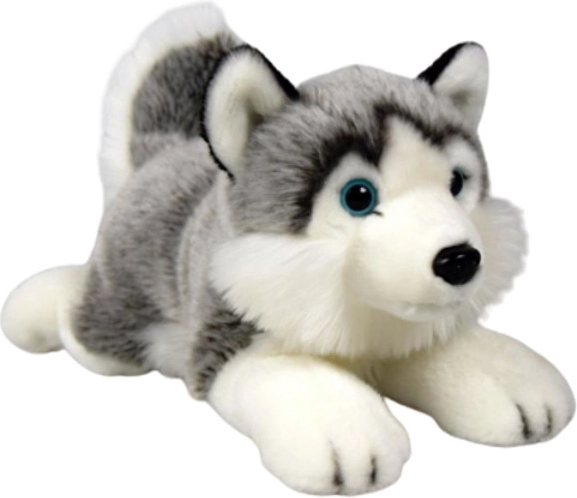 Chien husky en peluche Dubi 27 cm