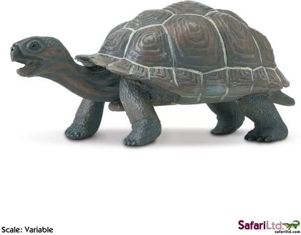 Safari Ltd. figurine de jeune tortue des Galápagos - 1 pièce