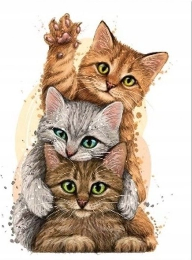 Peinture diamant Pyramide de chats 30 × 40 cm
