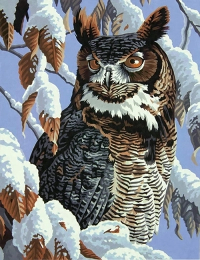 Norimpex Peinture par numéros Hibou sur une branche enneigée 40 × 50 cm