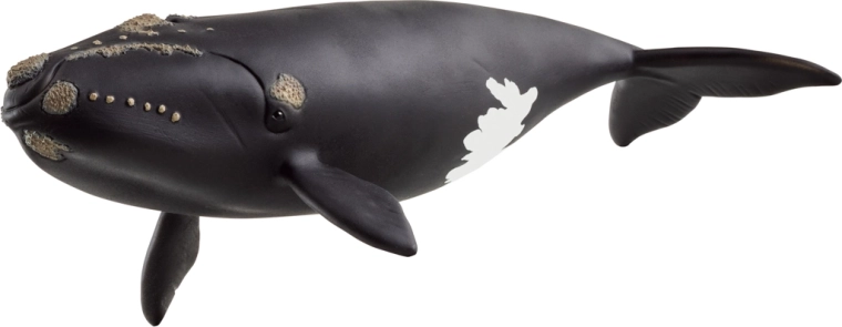 Schleich figurine – baleine noire de l’Atlantique Nord