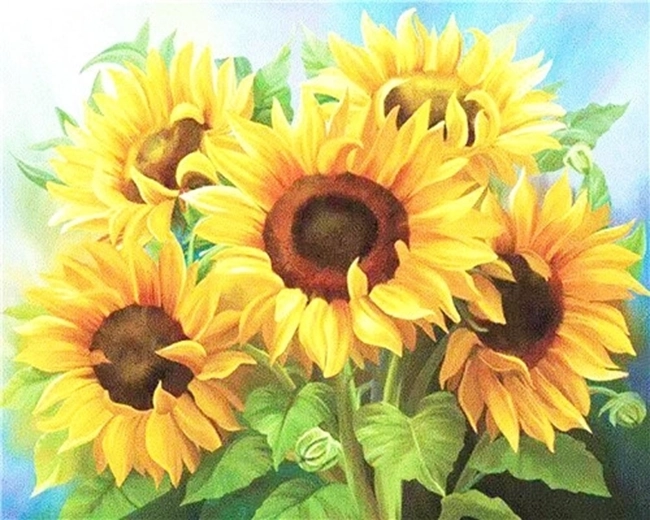 NORIMPEX Peinture par numéros Bouquet de tournesols 40 × 50 cm