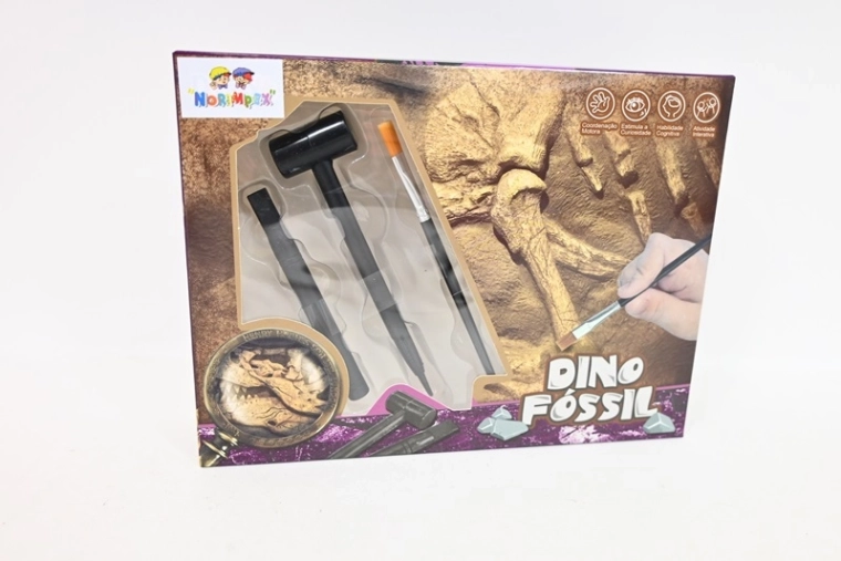 Kit de fouille de fossile pour petits paléontologues
