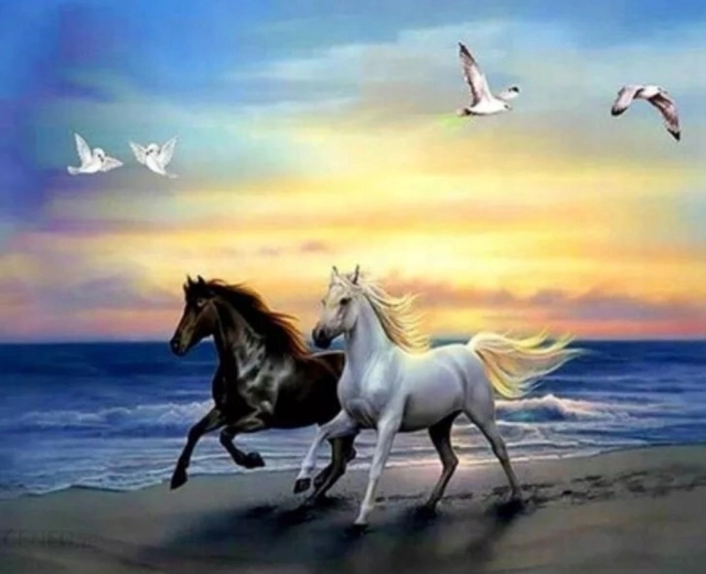 Peinture diamant Chevaux sur la plage 30 × 40 cm
