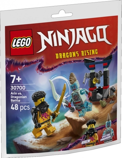 Briques NINJAGO bataille d’Arin avec le dragon