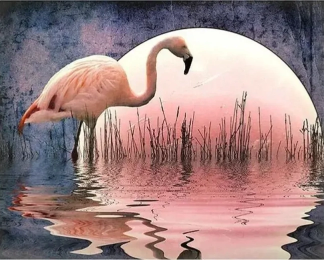 Norimpex Peinture par numéros Flamant rose 40 × 50 cm