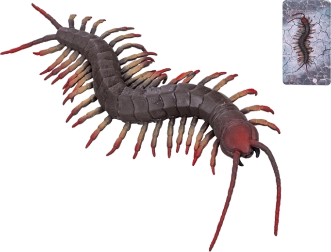 Mille-pattes extensible 17 cm