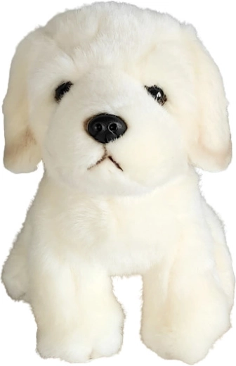 Chien en peluche golden retriever 19 cm