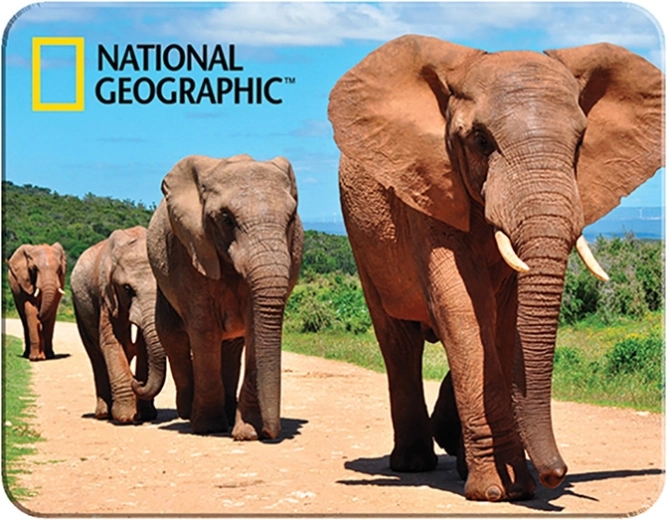 Aimant 3D Éléphants africains