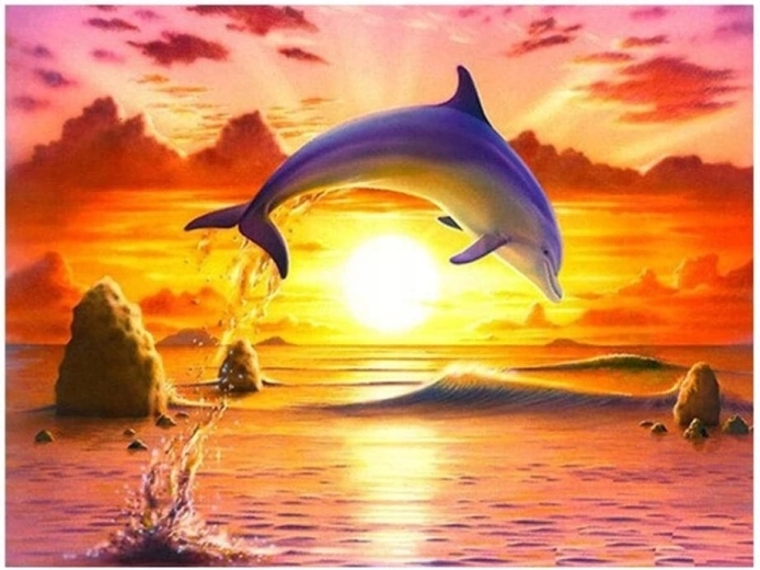 Norimpex Peinture par numéros Dauphin bondissant au coucher du soleil 40 × 50 cm