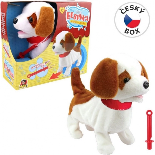 Chien Besinka avec sifflet