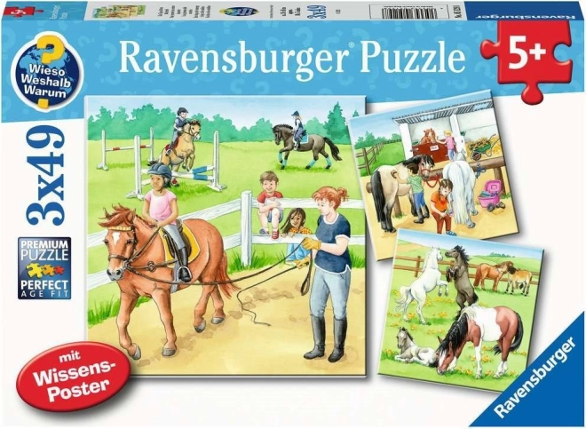 Ravensburger puzzle Journée chez les chevaux 3×49 pièces