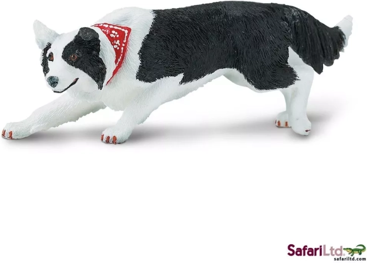 Safari Ltd. figurine de border collie