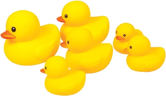 Set de canards de bain en caoutchouc dans un filet - 6 pièces