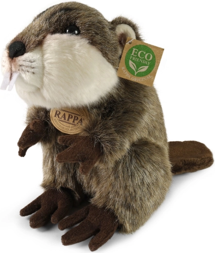 Castor en peluche 25 cm écoresponsable RAPPA