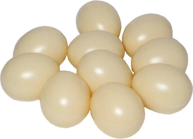 Set d’œufs en plastique pour le jeu (10 pcs)