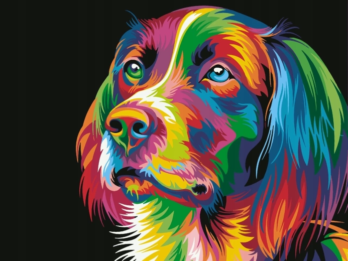 Norimpex Peinture par numéros Chien coloré 40 × 50 cm