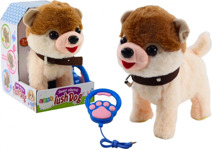 Chien interactif en laisse