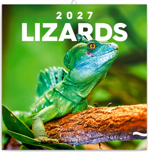 Calendrier mural mémo Lézards 2027, 30 × 30 cm