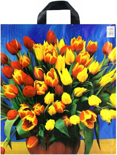 Sac de courses en plastique imprimé avec anse à sangle 43 × 48 cm - 1 pièce