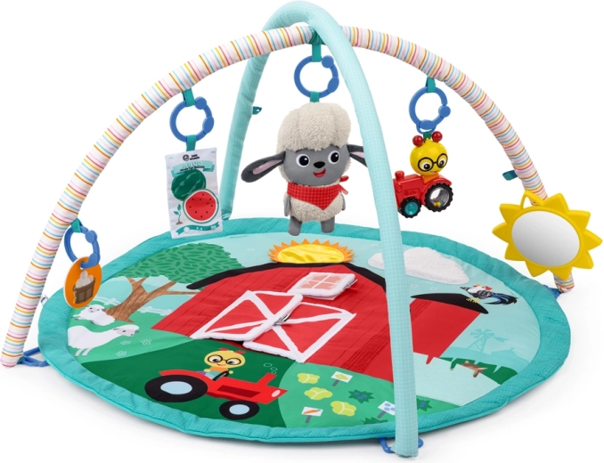Baby Einstein Tapis d’éveil Happy Harvest Touch & Feel avec arches