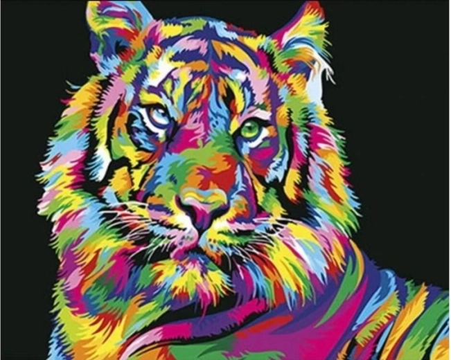 Peinture par numéros sur toile encadrée 50 × 40 cm – tigre coloré