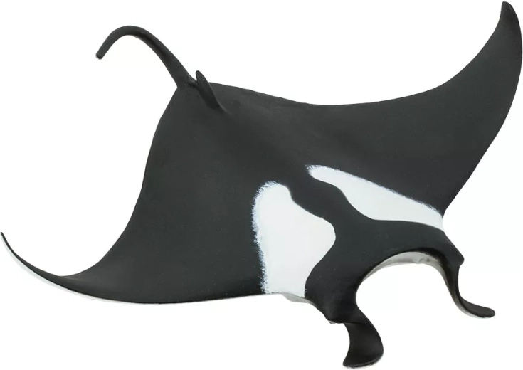 Safari Ltd. raie manta géante (figurine) - 1 pièce
