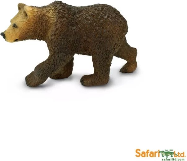 Ours grizzly – petit