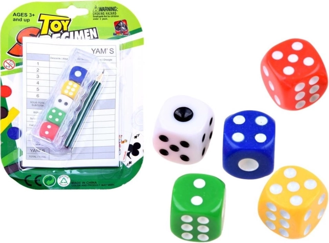Dés de jeu colorés (5 pièces) avec accessoires pour la prise de notes