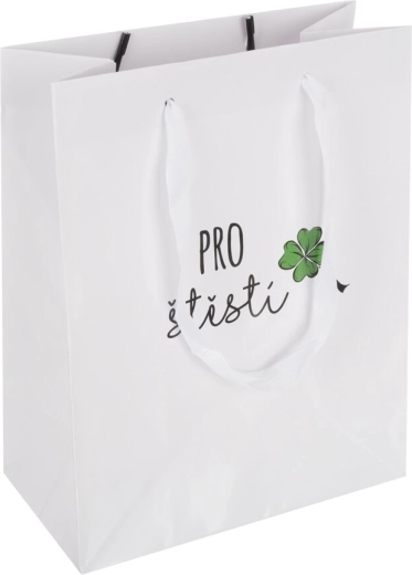 Sac cadeau en papier « Porte-bonheur » 18 × 10 × 23 cm