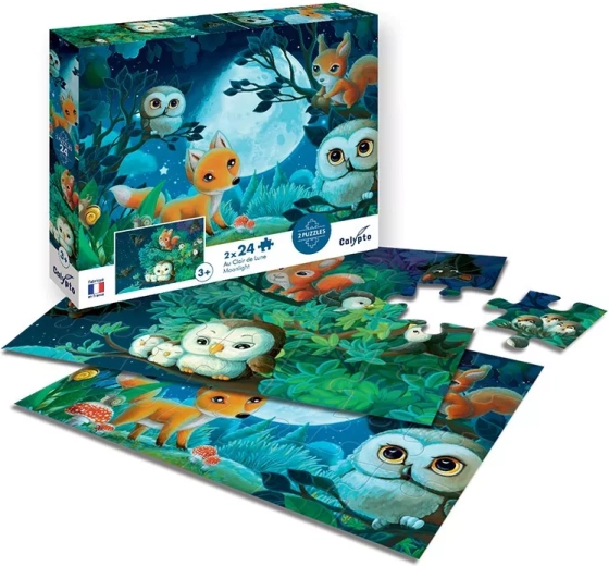 Puzzle Sentosphere au clair de lune