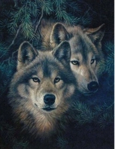 Peinture au diamant Loups dans les pins 30 × 40 cm