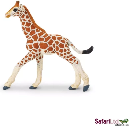 Safari Ltd. bébé girafe réticulée