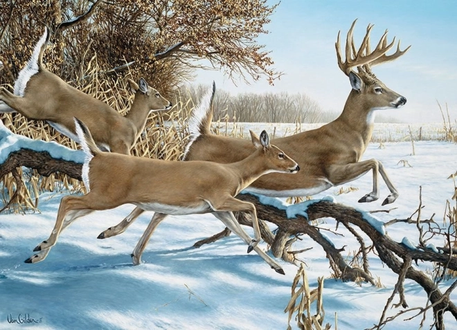 COBBLE HILL puzzle Évasion – 1000 pièces