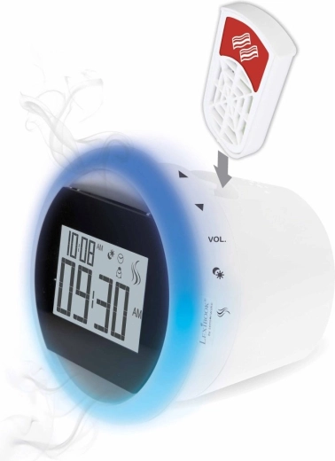 Compatible avec les radios-réveils LEXIBOOK CS100