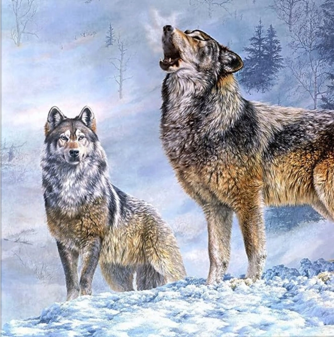 Peinture au diamant Appel du loup 30x40cm
