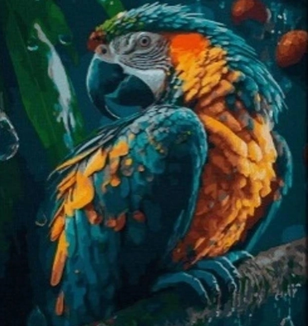 Peinture de diamant Perroquet 30x40 cm