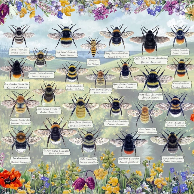 Puzzle Gibsons Abeilles Brillantes 1000 pièces