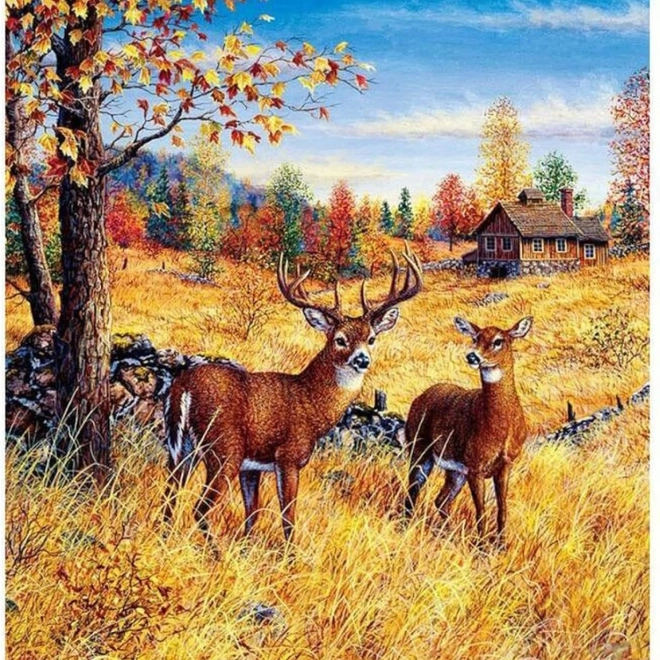Peinture de diamant Cerfs dans le champ 30x40 cm