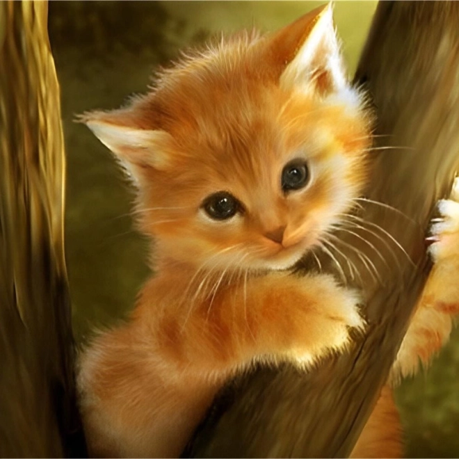 Peinture de diamant - Chaton sur l'arbre 30x40 cm