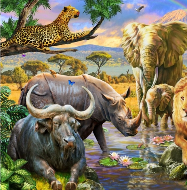 Norimpex Peinture diamant Royaume des animaux 30x40cm