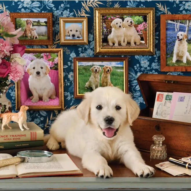 Puzzle Labrador 500 pièces
