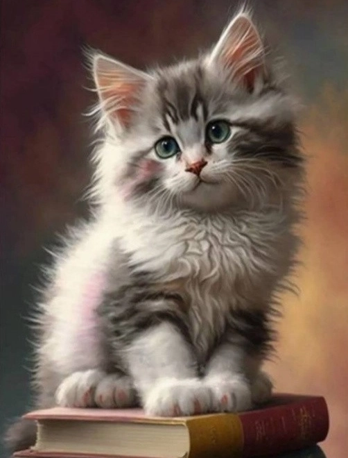 Peinture diamant - Chat sur les livres
