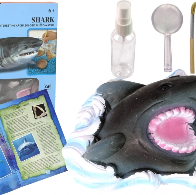 Kit éducatif Exploration des océans - Requin et trilobites