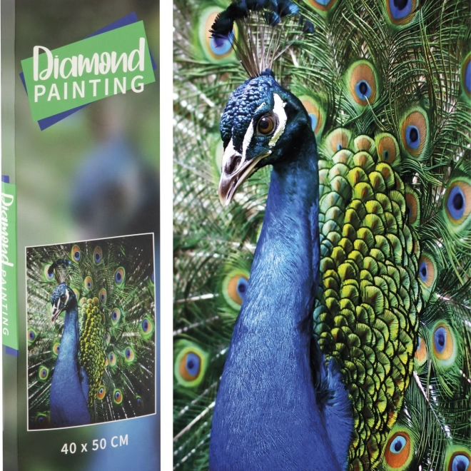 Grafix peinture diamant – paon 40 × 50 cm