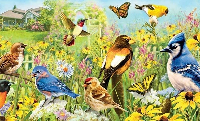Puzzle panoramique oiseaux de jardin 1000 pièces