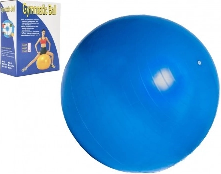 Balle de gymnastique 75 cm pour rééducation et exercices à domicile