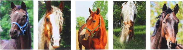 Bloc avec motif Cheval MINI 40l, 6x8,5 cm