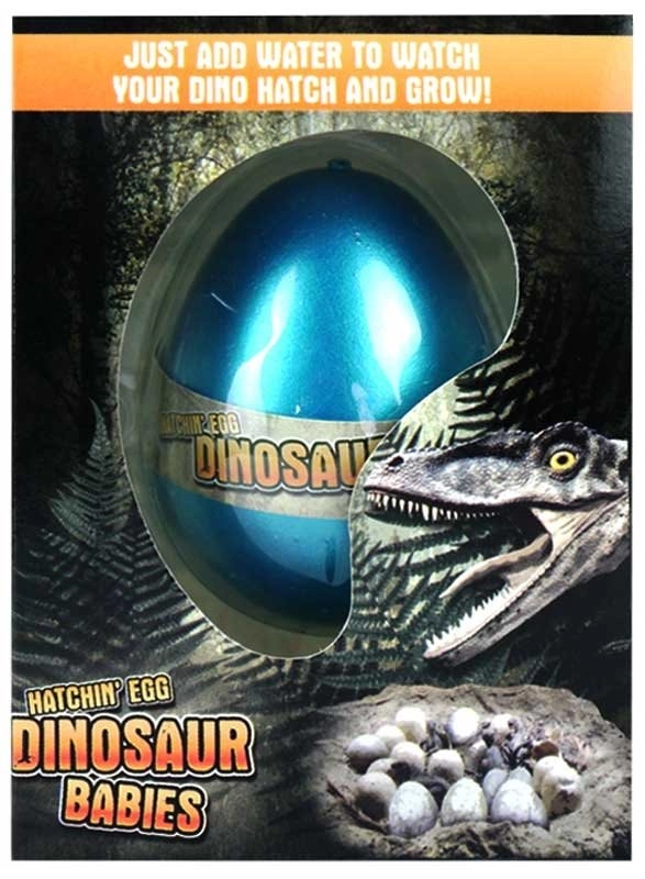 KFDDRN Oeufs Dinosaures à Éclore – 12 Espèces – Kit Archéologique – Outils De Fouille – Cadeau Enfant 4 à 10 Ans