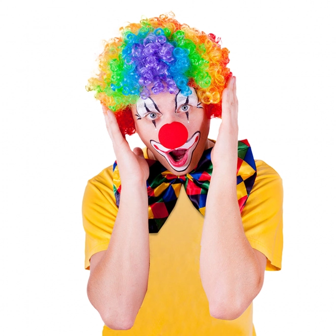 Perruque colorée Clown pour adultes